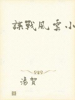 谍战风云小说