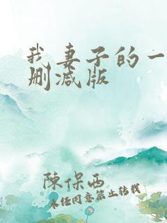 我妻子的一切未删减版
