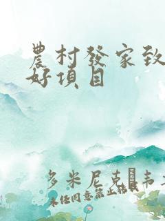 农村发家致富的好项目