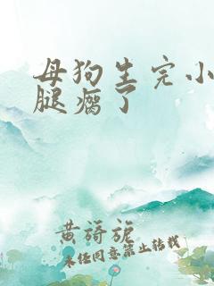 母狗生完小狗后腿瘸了