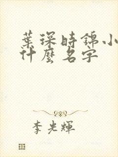 叶琛时锦小说叫什么名字