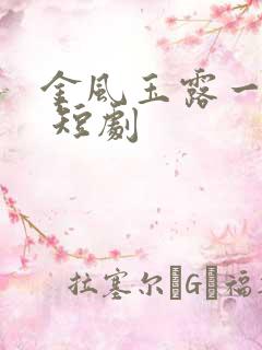 金风玉露一相逢 短剧