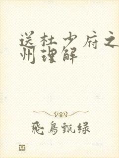 送杜少府之任蜀州理解