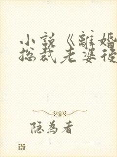 小说《离婚后,总裁老婆后悔了》
