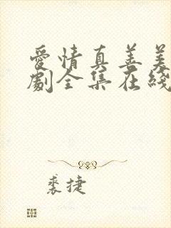 爱情真善美电视剧全集在线播放免费