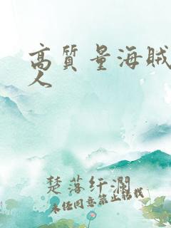 高质量海贼王同人