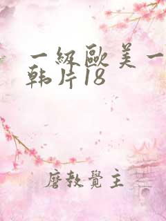 一级欧美一级日韩片18