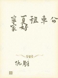 宁夏租车公司哪家好