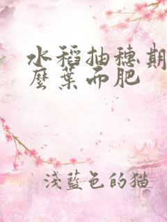 水稻抽穗期用什么叶面肥