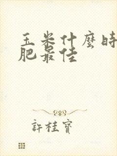 玉米什么时候施肥最佳
