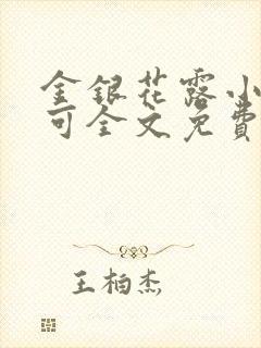 金银花露小说乐可全文免费观看