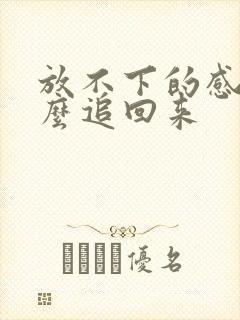 放不下的感情怎么追回来