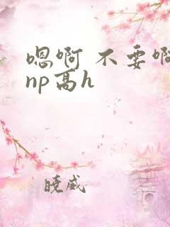 嗯啊 不要啊 np高h