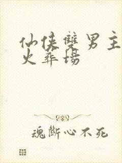 仙侠双男主追妻火葬场