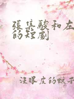 张集骏和左一演的短剧