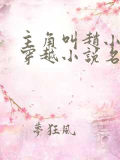 主角叫赵小驴的穿越小说名字