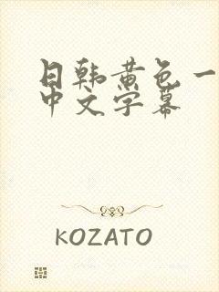 日韩黄色一级片中文字幕