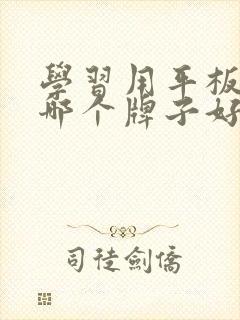 学习用平板电脑哪个牌子好用又实惠