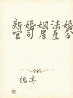 新婚姻法婚姻打官司房产分割纠纷
