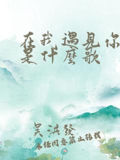 在我遇见你以前是什么歌