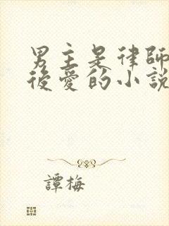 男主是律师先婚后爱的小说