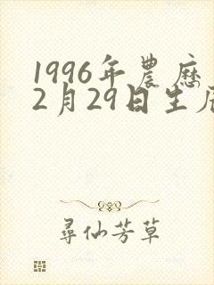 1996年农历2月29日生辰八字
