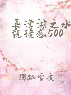 长津湖之水门桥观后感500