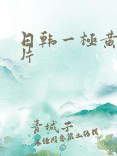 日韩一极黄色淫片