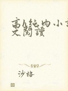 高h纯肉小说全文阅读