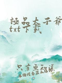极品太子爷全本txt下载