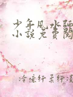 少年风水师吴峥小说免费阅读完整版