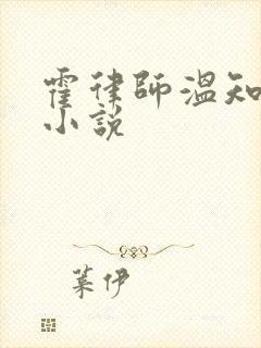 霍律师温知羽的小说