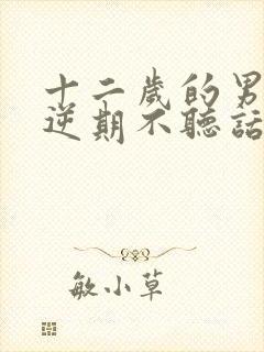 十二岁的男孩叛逆期不听话怎么办