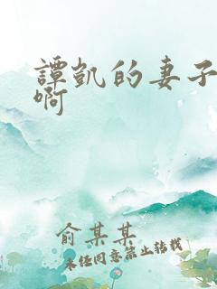 谭凯的妻子是谁啊