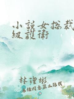 小说女总裁的超级护卫