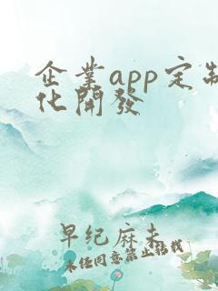 企业app定制化开发