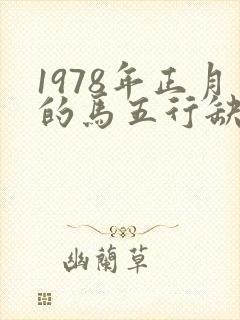 1978年正月的马五行缺什么