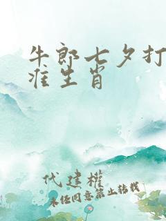 牛郎七夕打一精准生肖