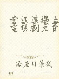 当婆婆遇上的妈电视剧免费全集观看