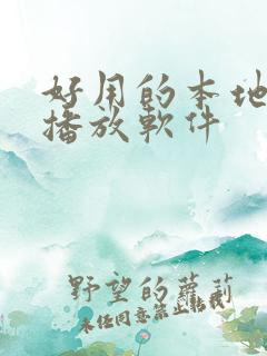 好用的本地视频播放软件