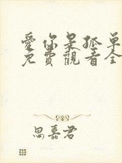 爱你是孤单心事免费观看全集高清版