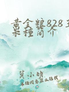 黄金粮828玉米种简介 黄金粮828玉米种简介