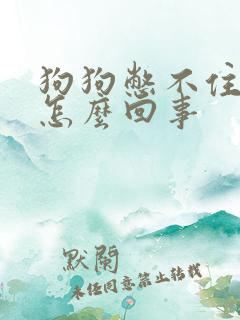 狗狗憋不住尿是怎么回事