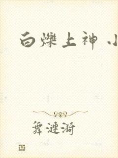白烁上神 小说