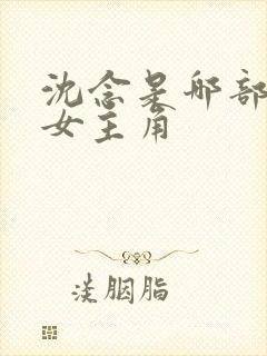 沈念是哪部小说女主角