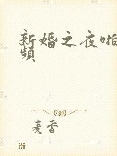 新婚之夜啪啪视频