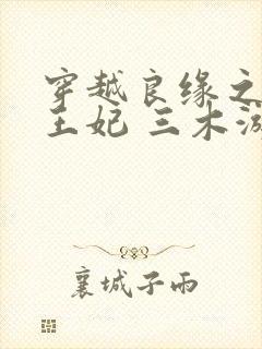 穿越良缘之镇南王妃 三木游游