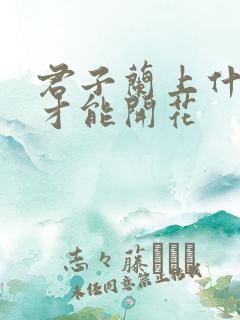 君子兰上什么肥才能开花