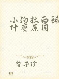 小狗拉白稀屎是什么原因 小狗拉白稀屎是什么原因