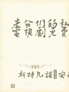 老公们的私房钱电视剧免费看